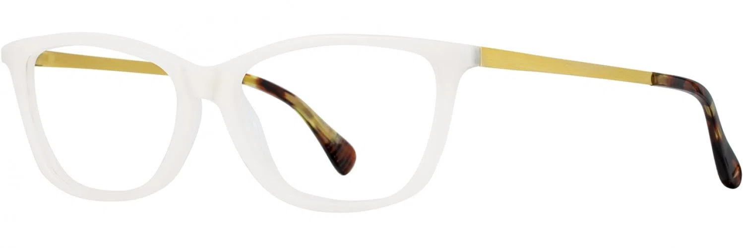 Alan J AJ500 Eyeglasses - view 6
